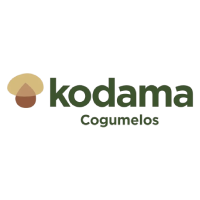 Kodama